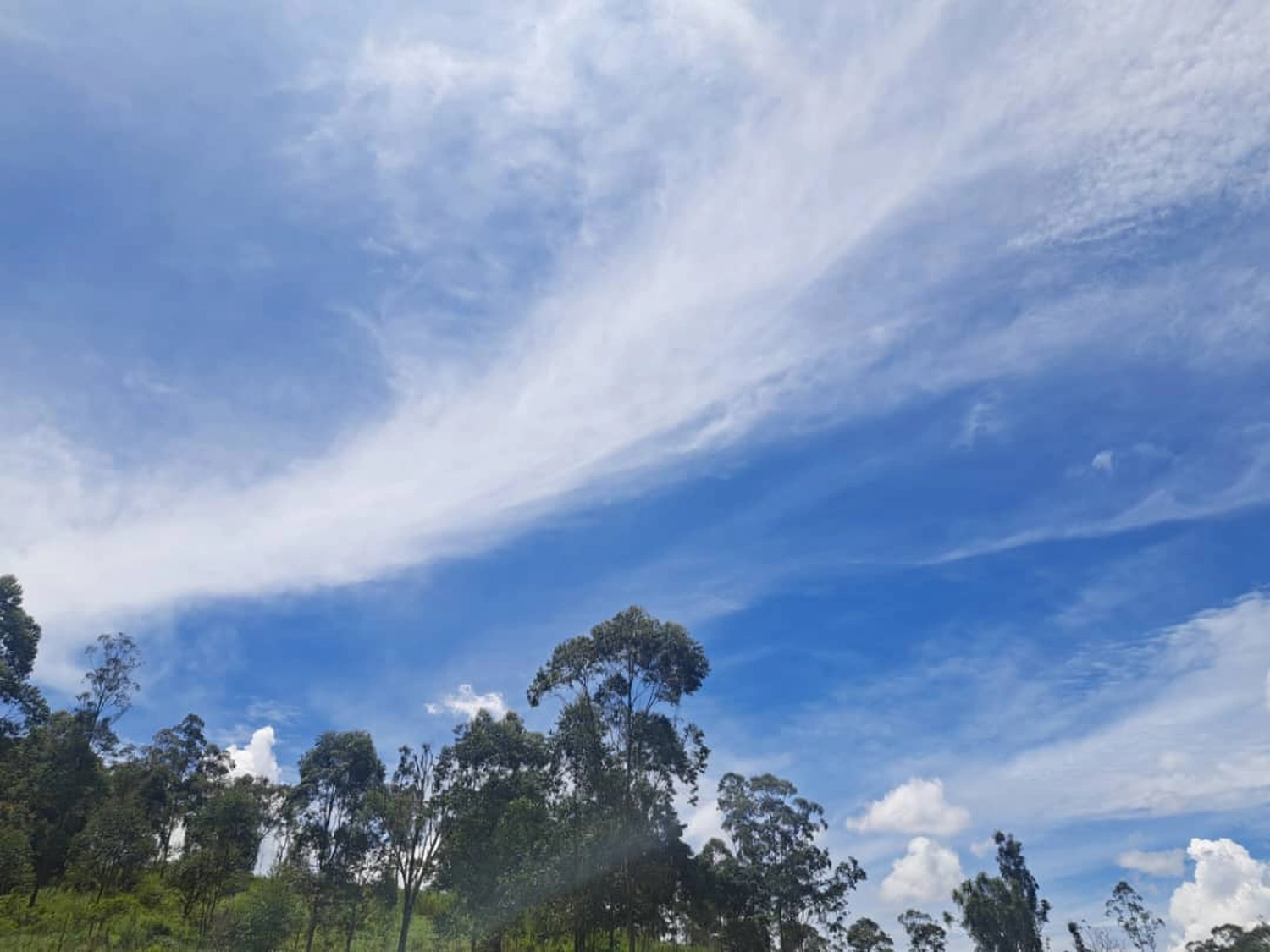 Maggy's Hope across borders – Bildungseinrichtung – Ein strahlend blauer Himmel mit zarten Zirruswolken über einer Landschaft mit üppig grünen Bäumen und Vegetation